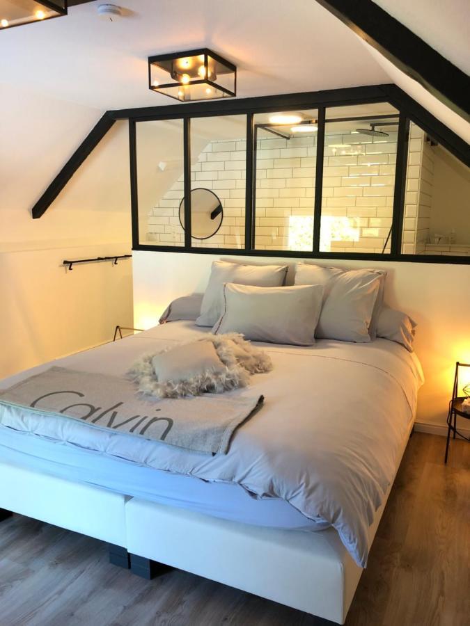 Jardin Du Marais Bed and Breakfast Froyennes Eksteriør billede